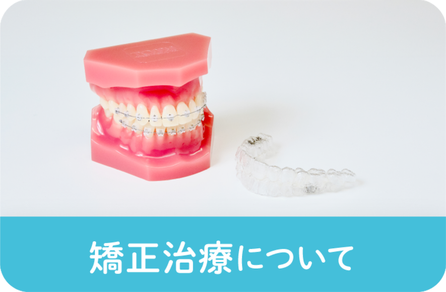 矯正バナー