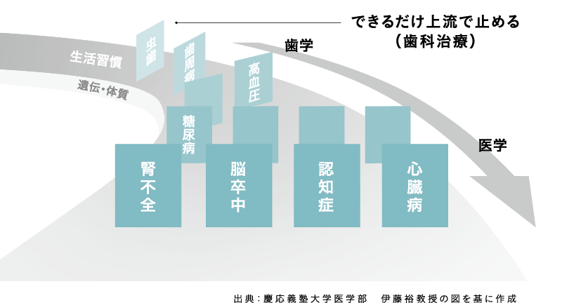 慶応義塾大学医学部 伊藤裕教授の図を基に作成された、メタボリックドミノの図