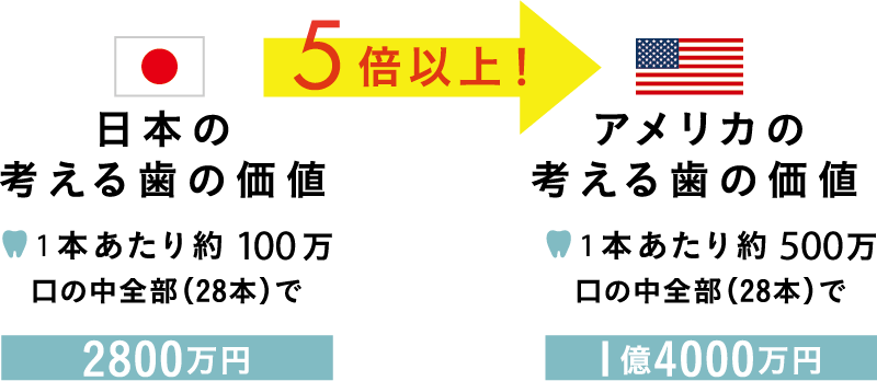 日本とアメリカの歯の価値を比較した図