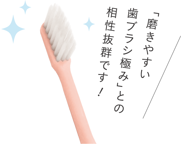 「磨きやすい歯ブラシ極み」との相性抜群です！